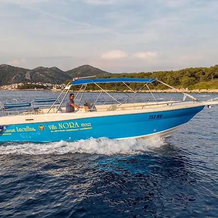 ベッド・アンド・ブレックファスト ノラ